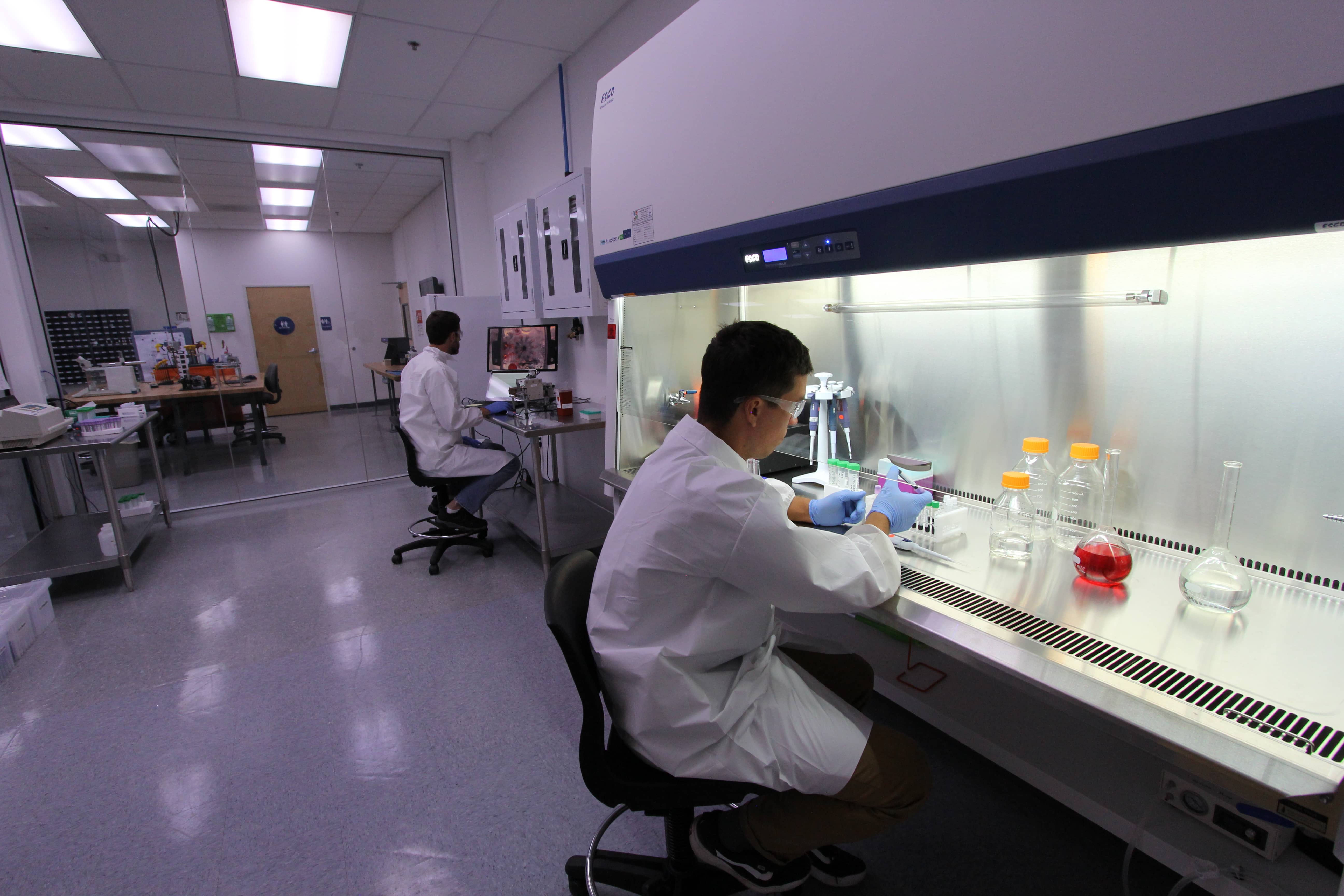 BSL 2 Lab at Novo Engineering