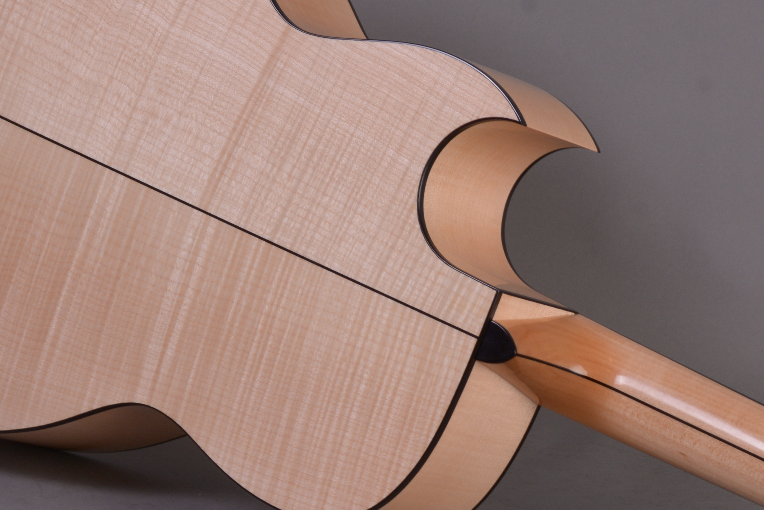 custom guitar with cut-away section